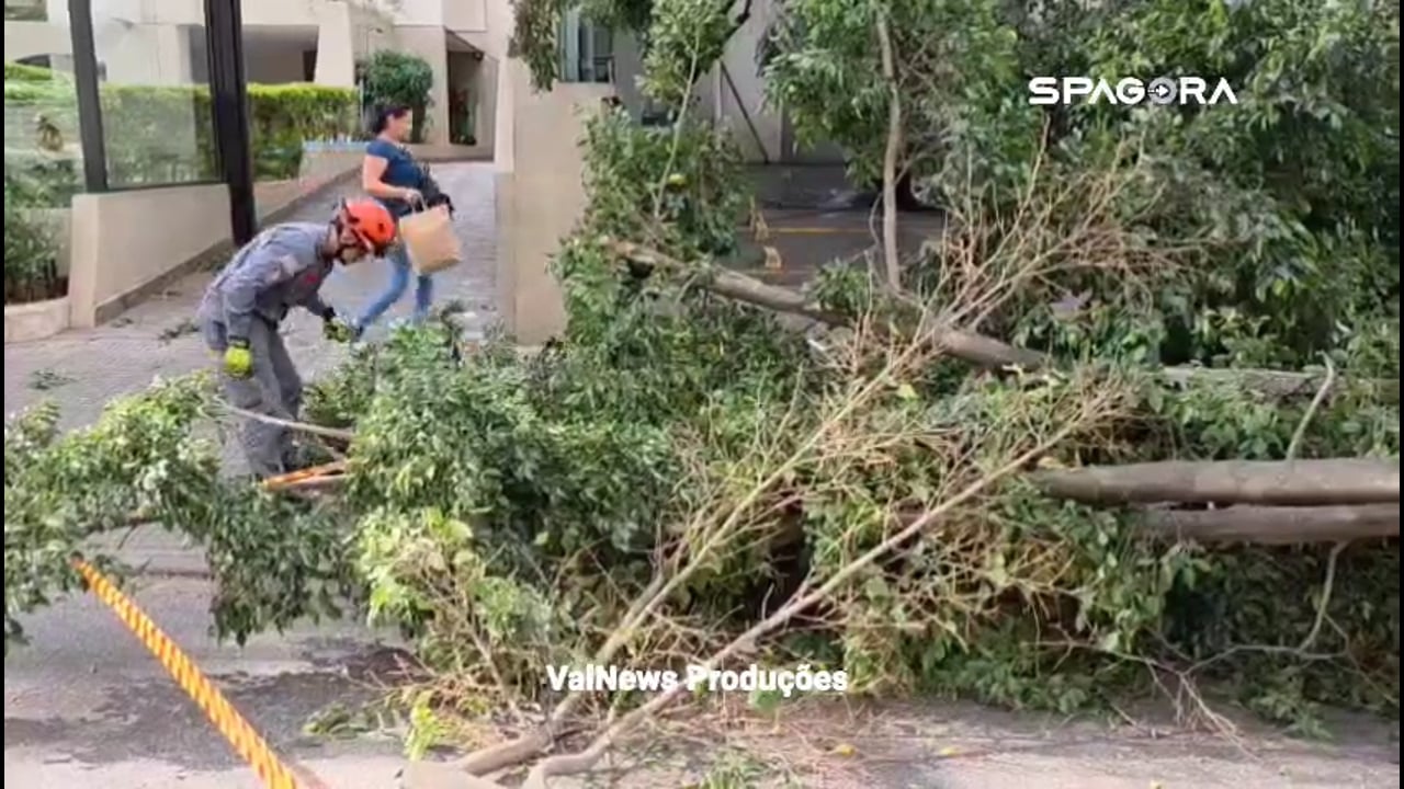 Vendaval derruba árvores, deixa feridos e afeta mais de 120 mil imóveis com falta de energia na Grande SP