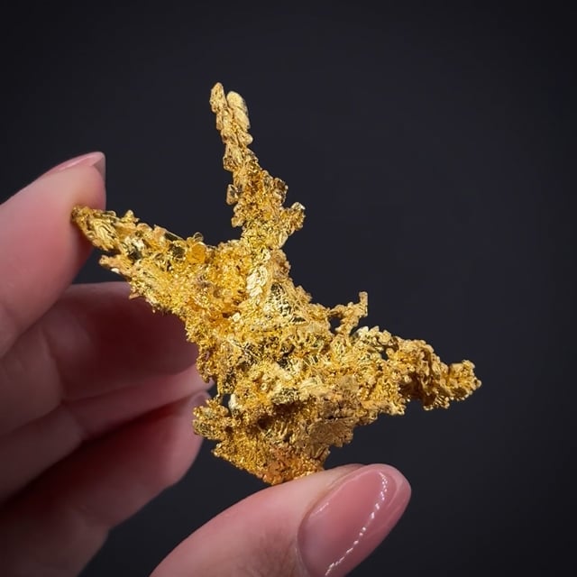 Gold