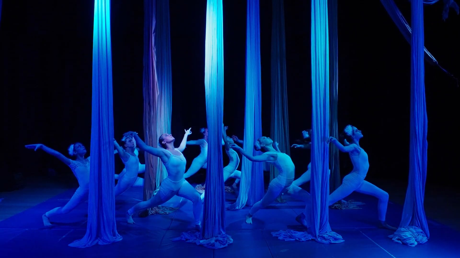 Swan Lake Aerial Dance – Highlight Reel