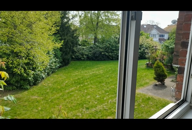 Video 1: