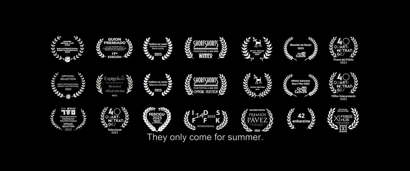 Video preview