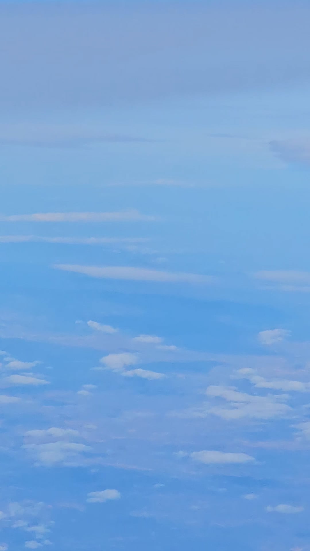 https://i.vimeocdn.com/video/2021118836-30ce4b6d7327dce51315a1a7f02751e1f7035a3a7e12e0b3559c1dd1b5f363e8-d