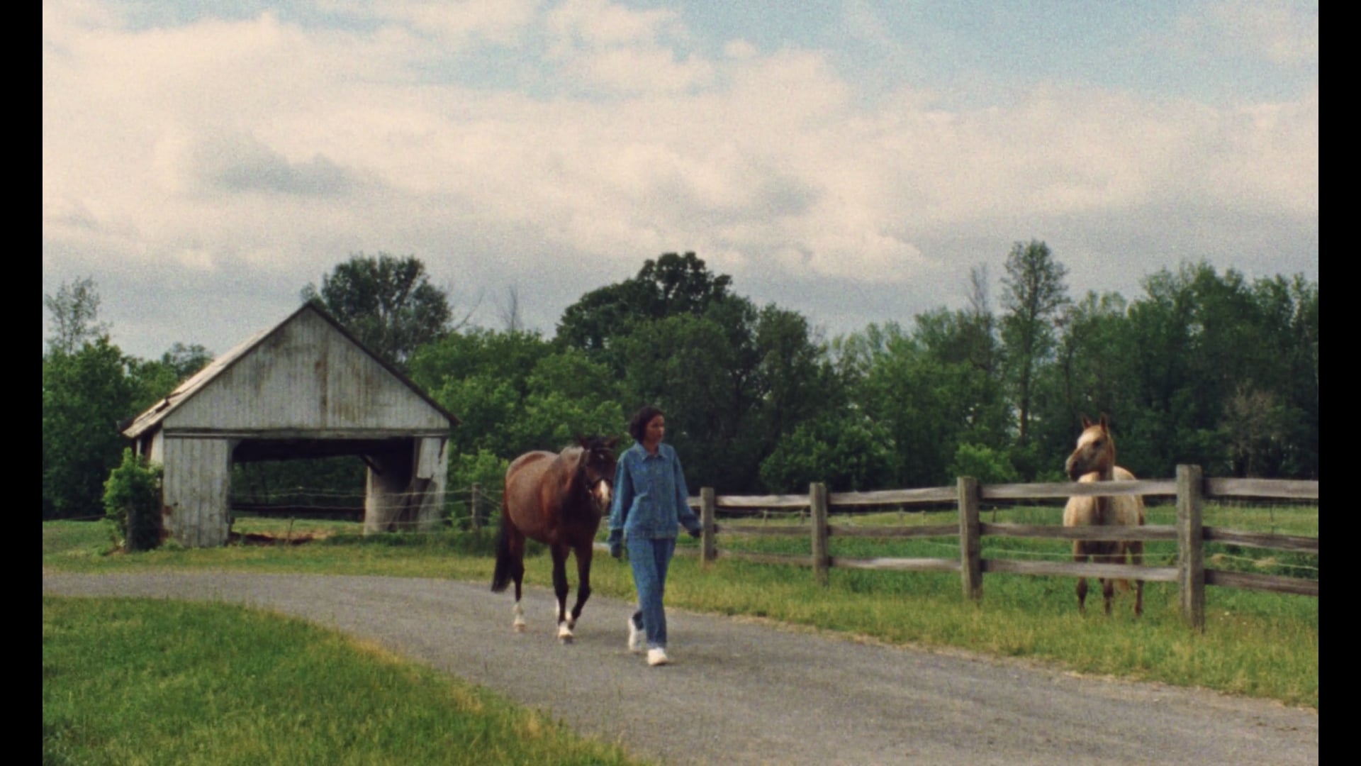 Hearts in the dust (Short Film)