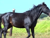 Lote 05