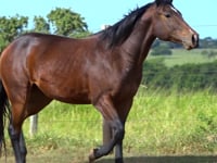 Lote 08