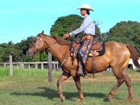 Lote 16