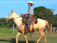 Lote 17