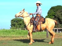 Lote 18