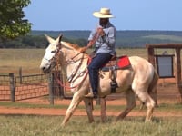 Lote 30