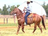 Lote 35