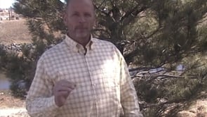 WWJD - Environmentalism & Christianity