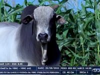 Lote 24