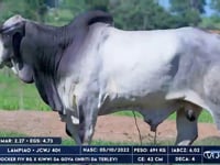Lote 92