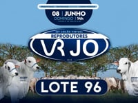 Lote 96