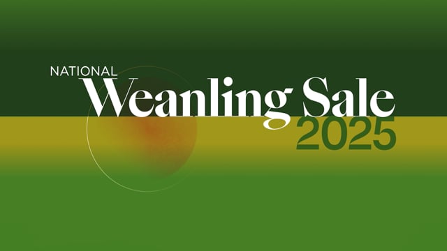2025 National Weanling Sale | Where Winning Begins