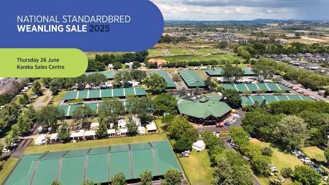 2025 NZB Standardbred National Weanling Sale |