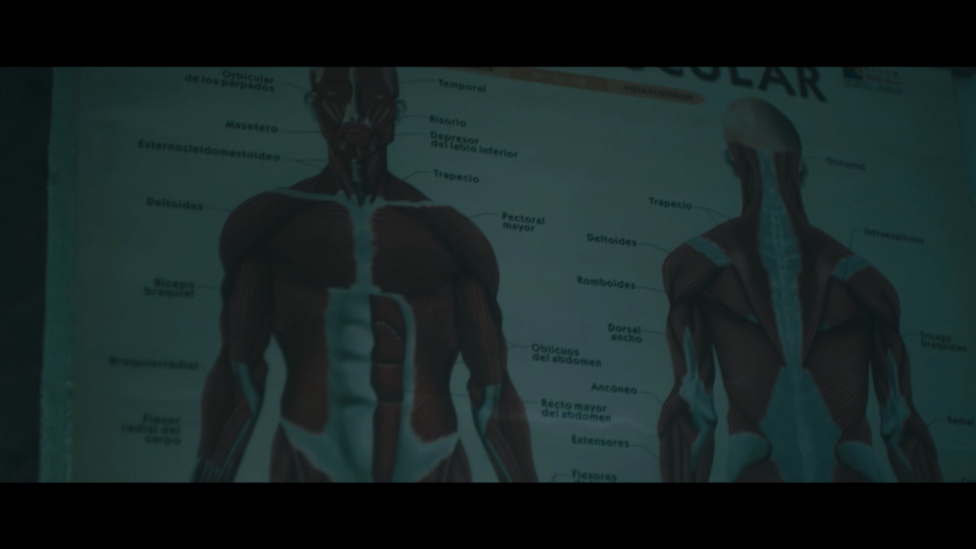 POWERADE - STRENGTH REMASTER