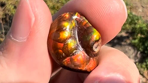 13.95ct Red Mexican Fire Agate Stone, Bright Color | OpalPop