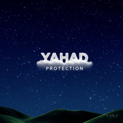https://i.vimeocdn.com/video/2021390517-77297cd58f3da363d5b00215fd60da7f0733a8f36ff67a6b5870b5c7bdebe47f-d