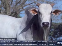 Lote 72