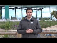 "Sensehub® proporciona tranquilidad al ganadero"