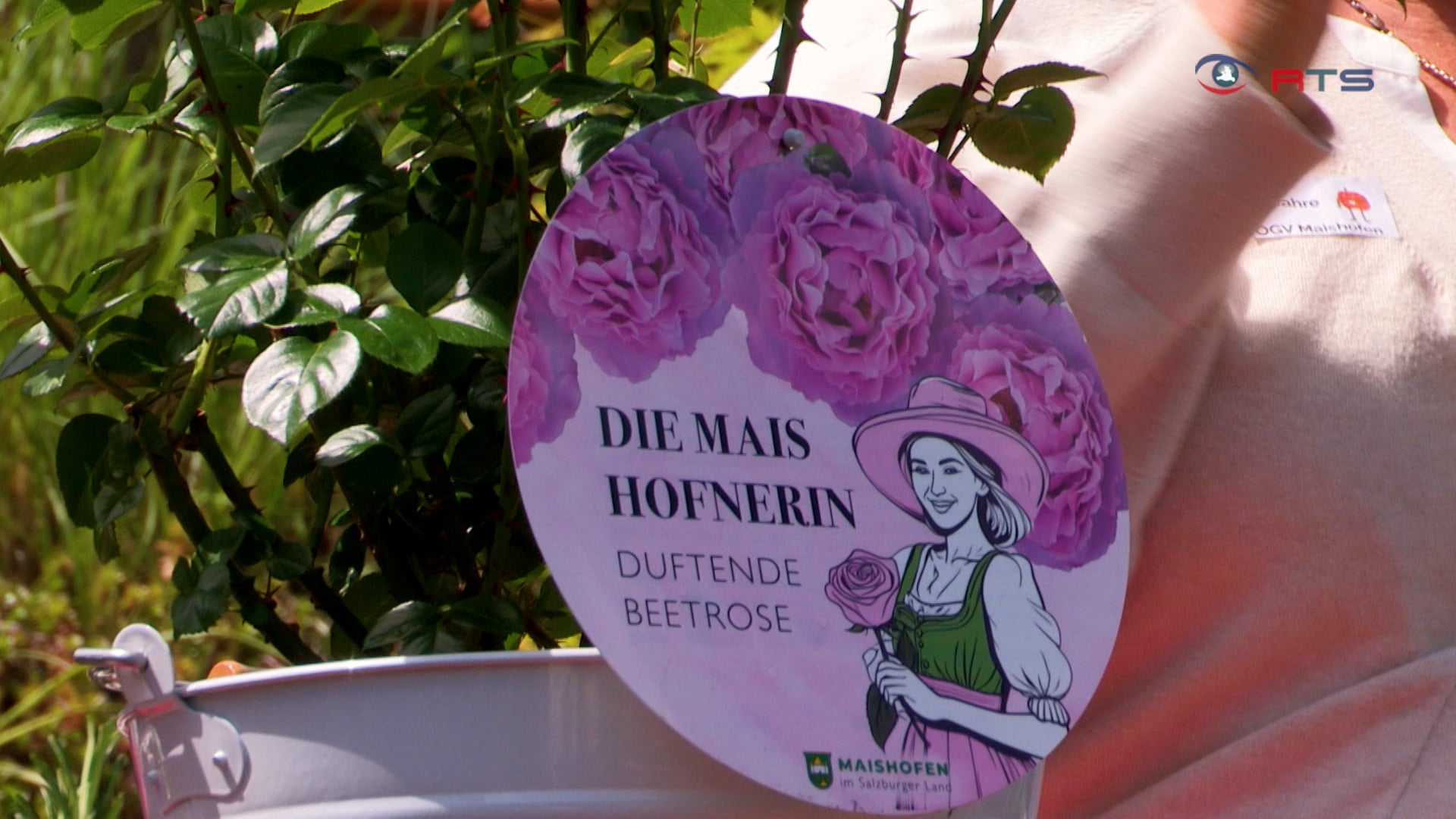 bluehende-leidenschaft-15-jahre-gartenbauverein-maishofen