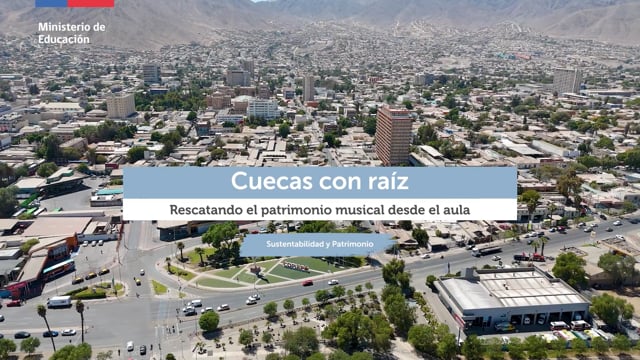 Prácticas de Formación ciudadana - 04  - Cuecas con raíz
