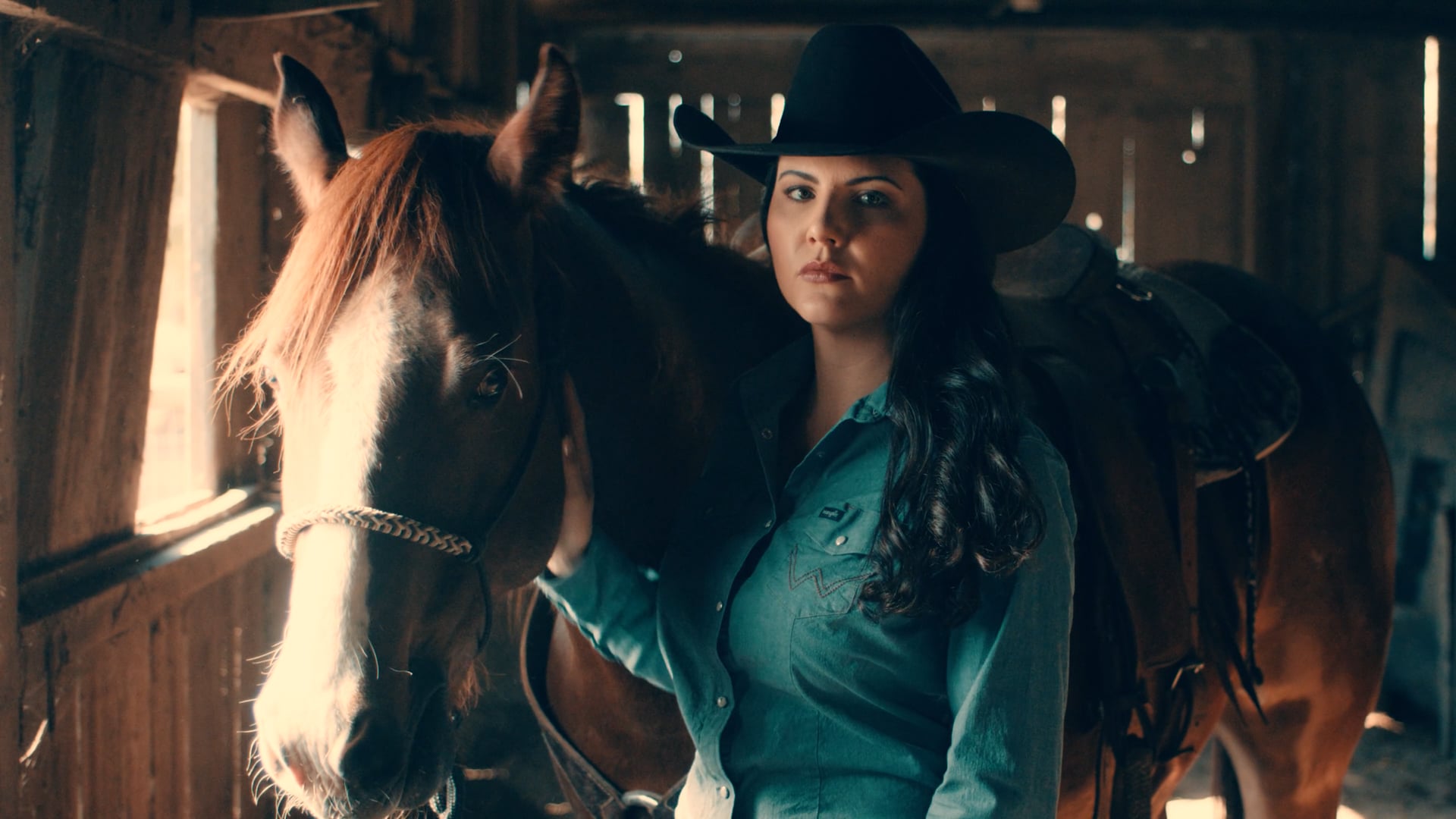'This is a Cowgirl' - Charlie 1 Horse Commercial