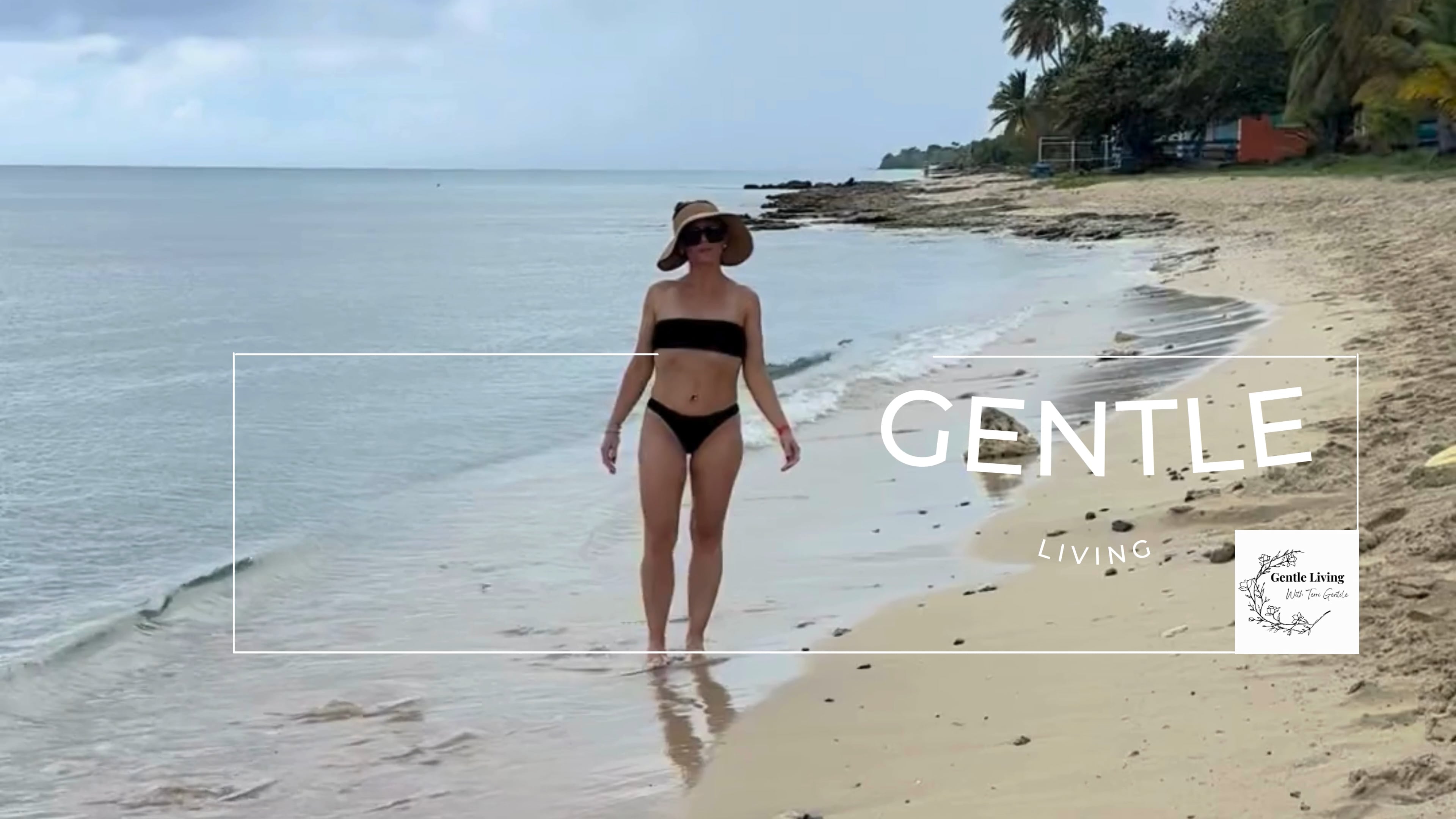 https://i.vimeocdn.com/video/2021558516-9b60250610d658d0b255b363d1712a3be1c10f1c3b45723a92a5e41c387706e6-d
