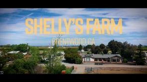 Related Embedded Video Item Thumbnail