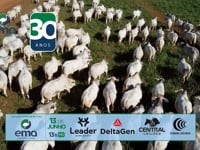Convite Daniel Marinho<br>Ema Agropecuária