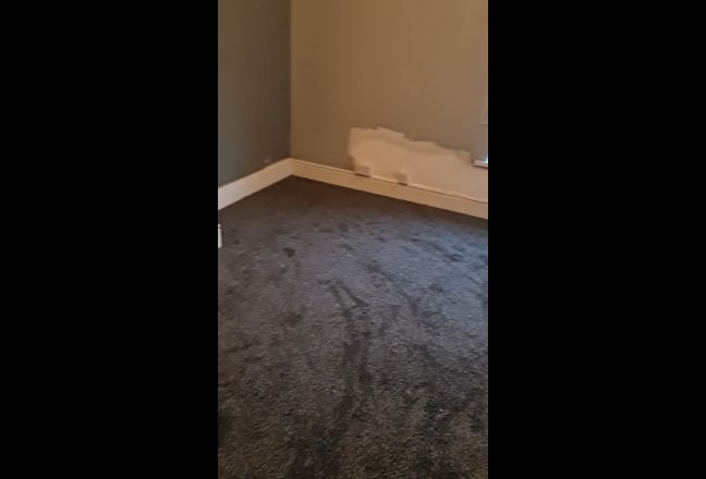 Oasis Abode @ Ashington Main Photo