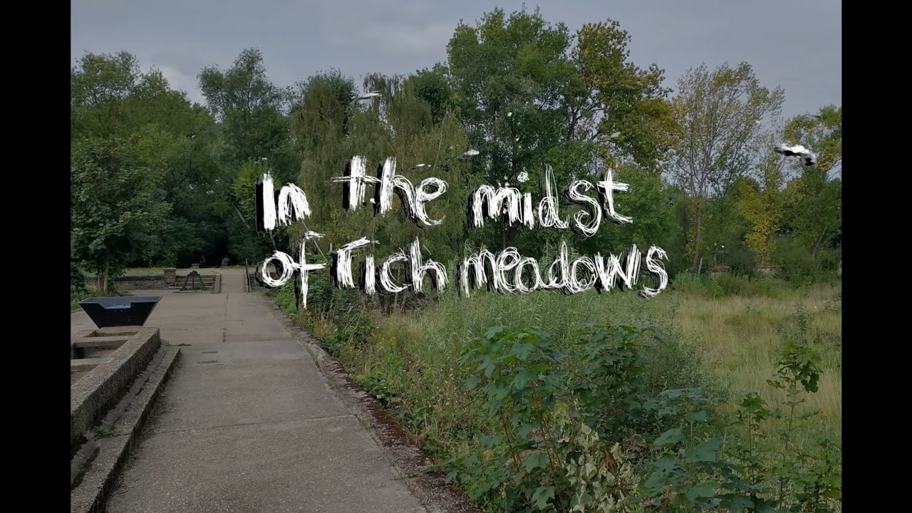 In the midst of rich meadows, it was perfectly clear, I walked with company, a video by Lara Band