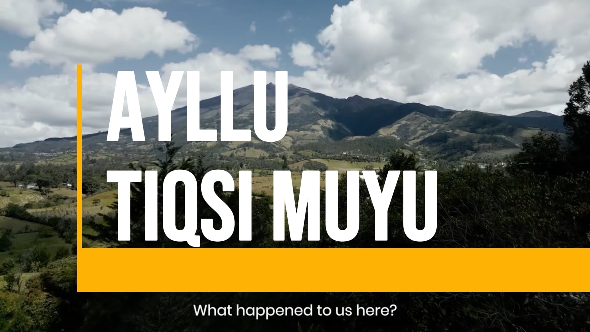 Video Clips Endemicos