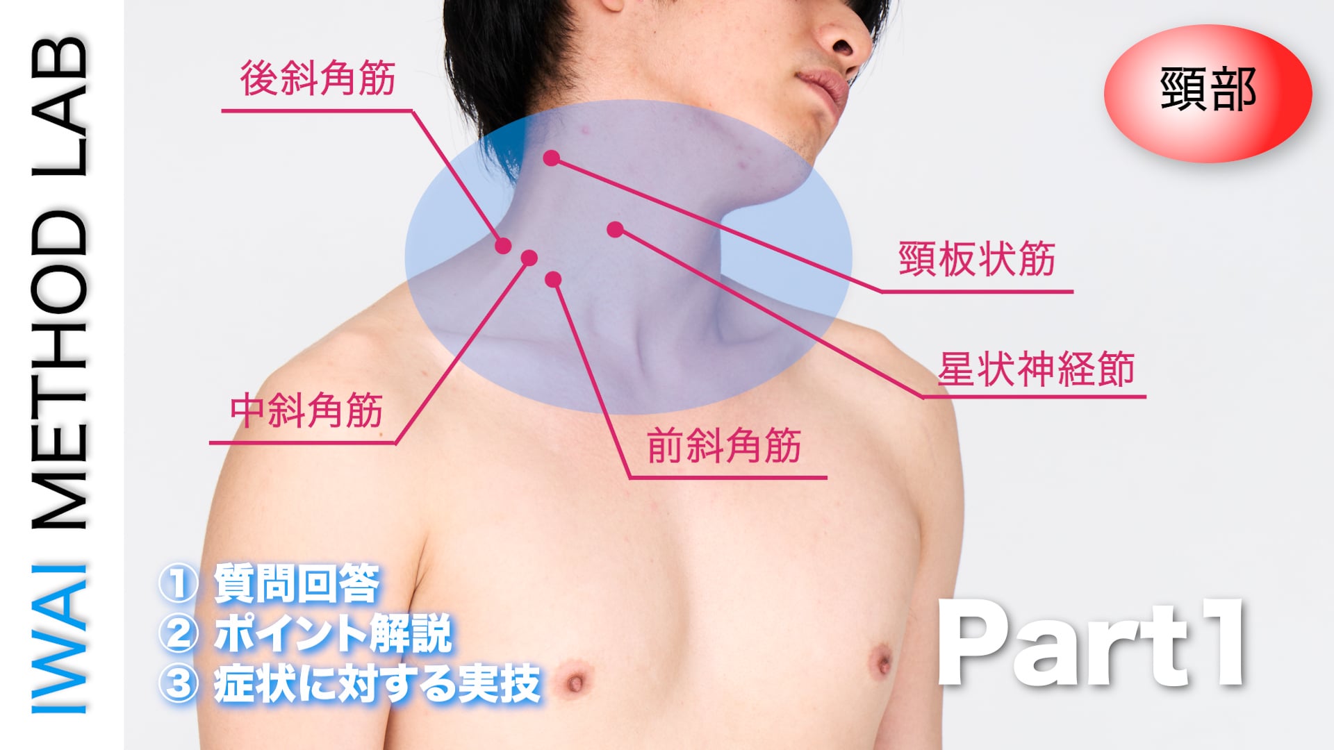 オンライン実技講習：「頸部痛改善テクニック（part 1）」