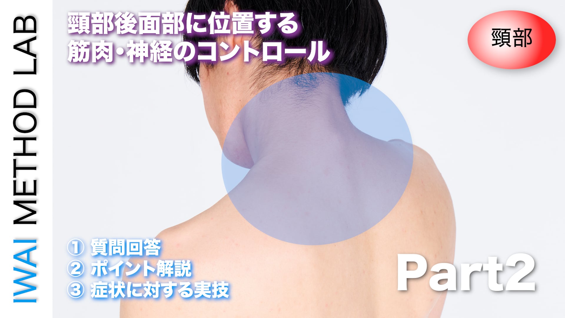 オンライン実技講習：「頸部痛改善テクニック（part 2）」
