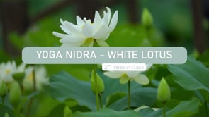 White Lotus - 27 Minute Yoga Nidra