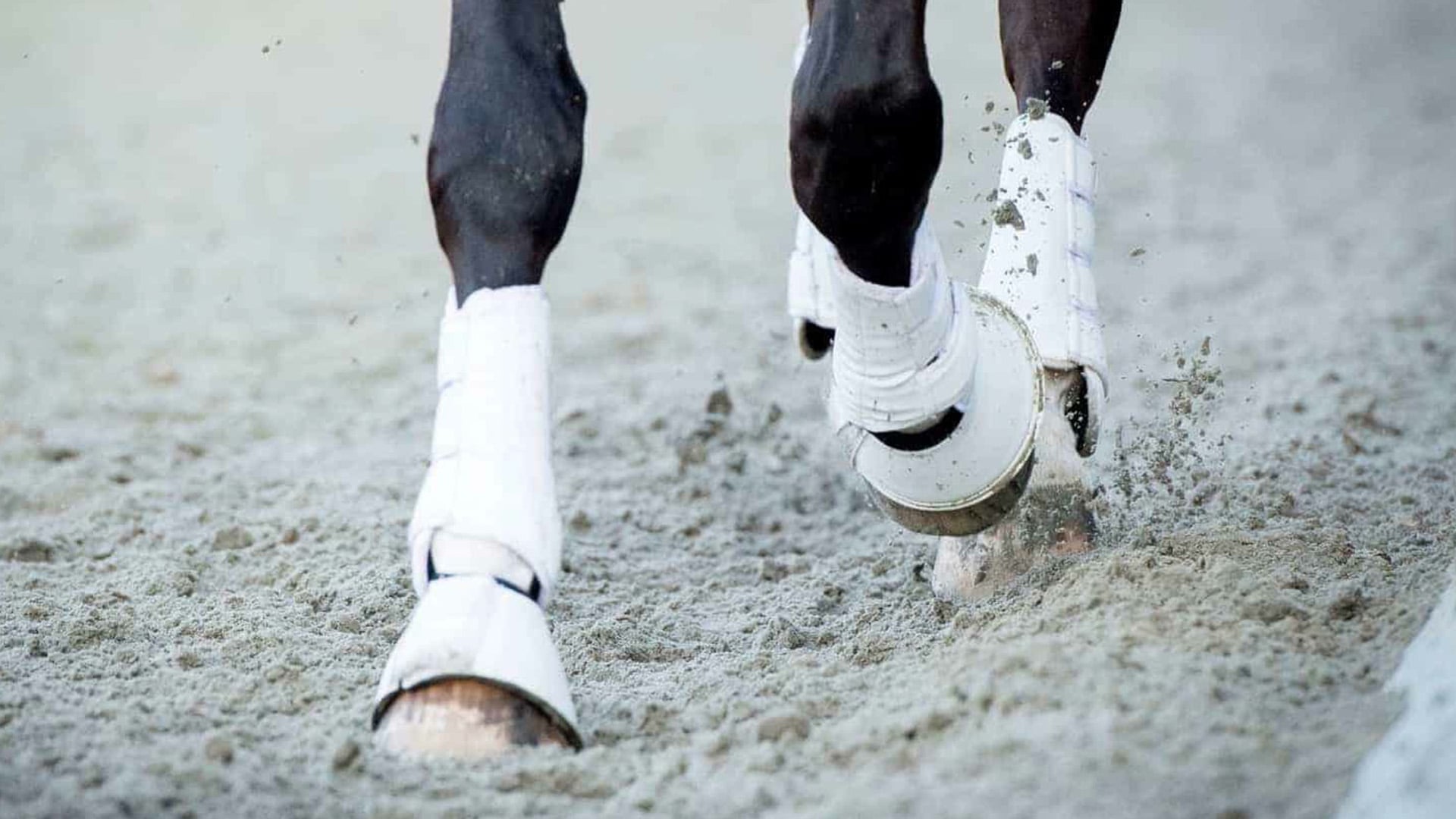 Understanding artificial surfaces and their effect on performance
