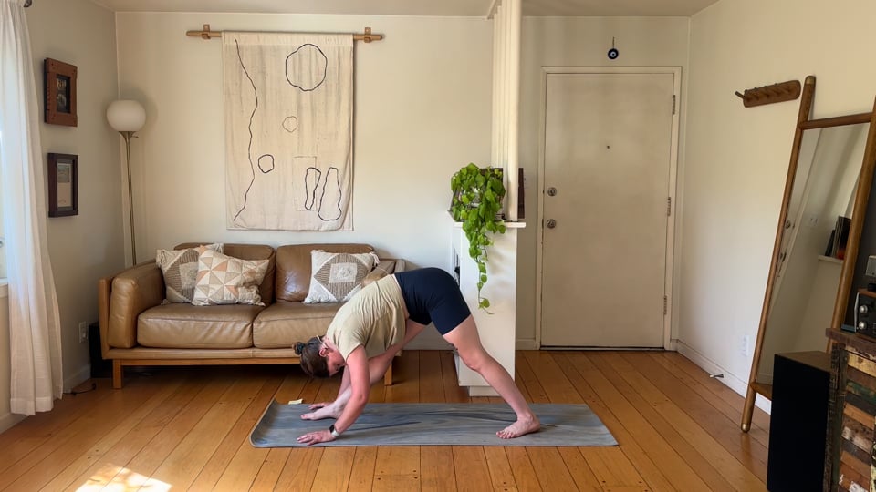 Move Everything, a 20-minute short yoga class with Haley Havelock