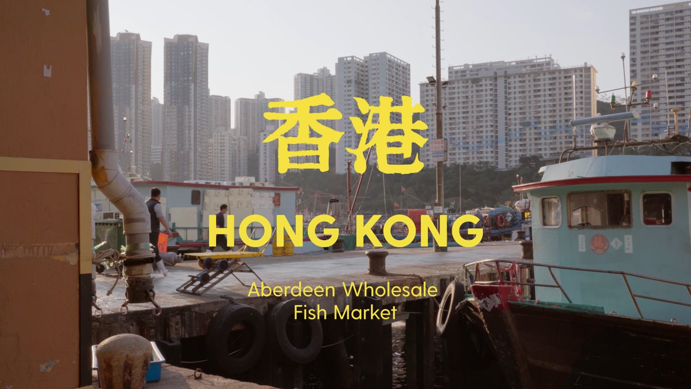 Hong Kong Aberdeen Fish Market 8:00AM