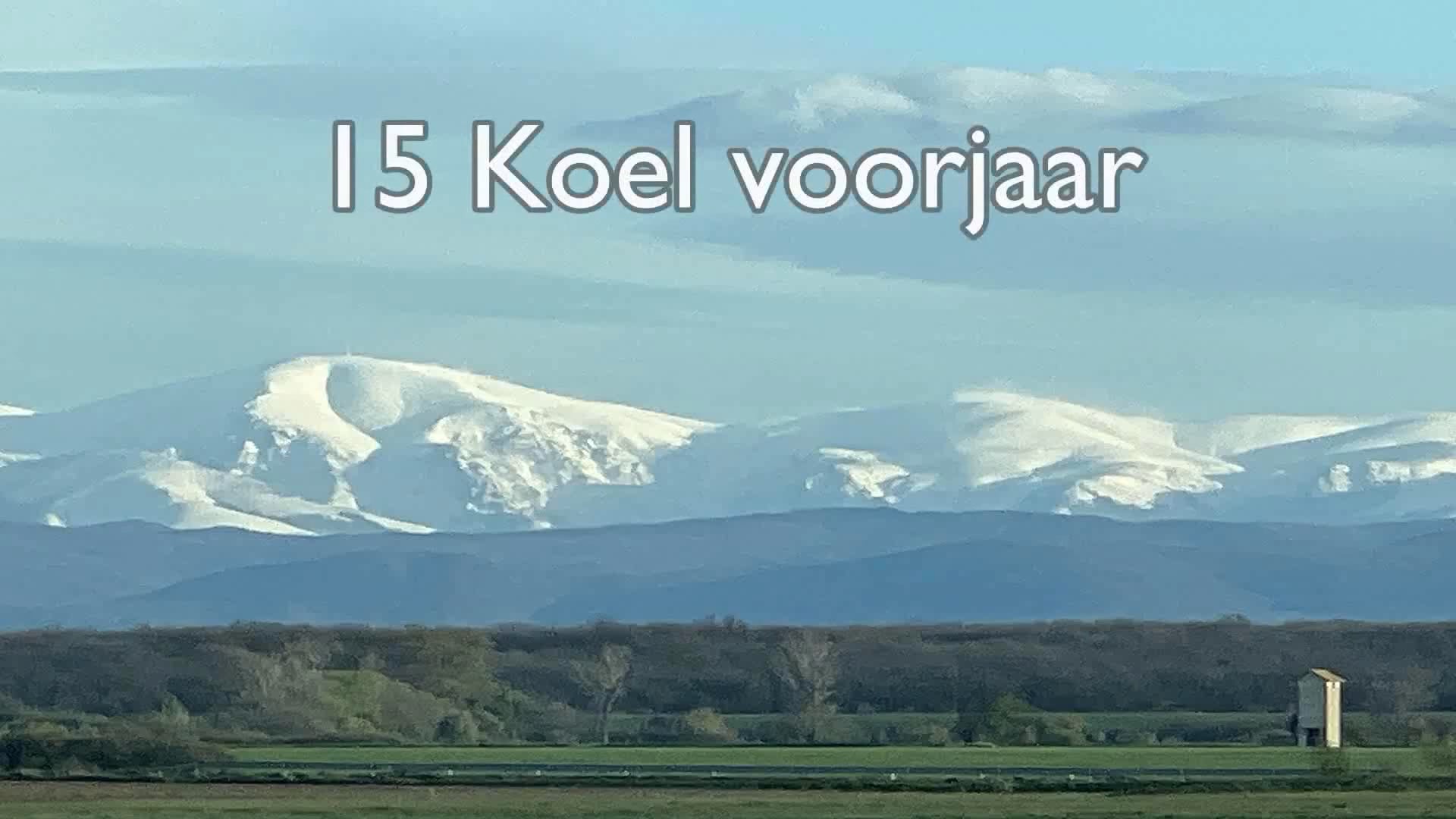 15 Koel voorjaar NL