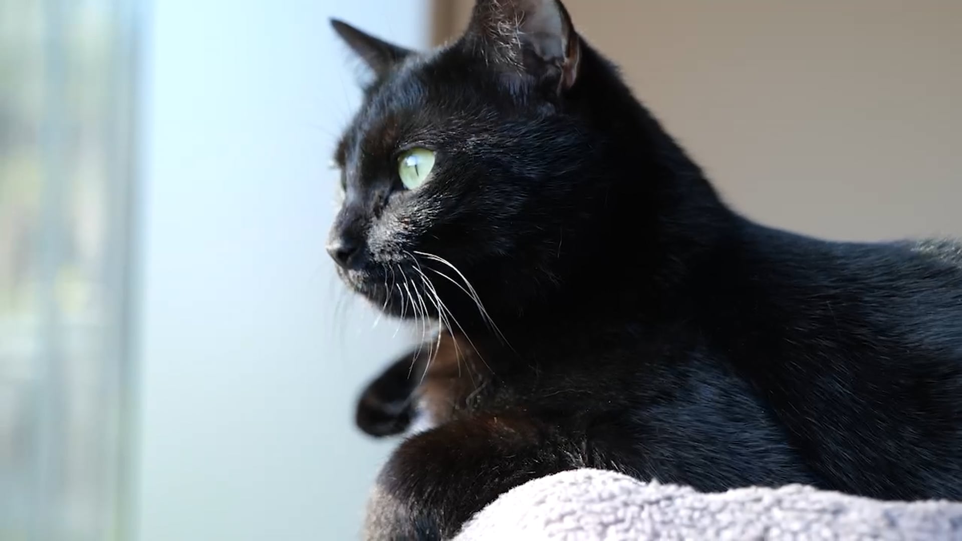 LA MIA AMICA CON I BAFFI