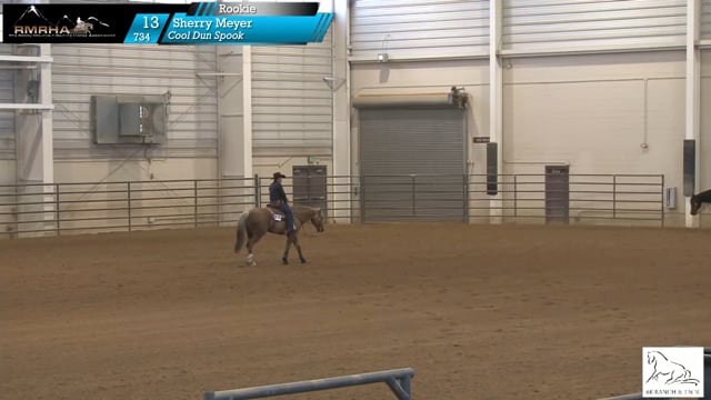 #734 Sherry Meyer