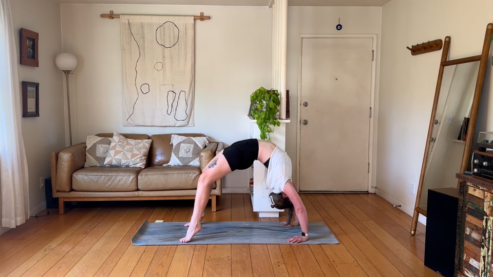 Reset & Reconnect, a 20-minute yoga for stress relief class with Haley Havelock
