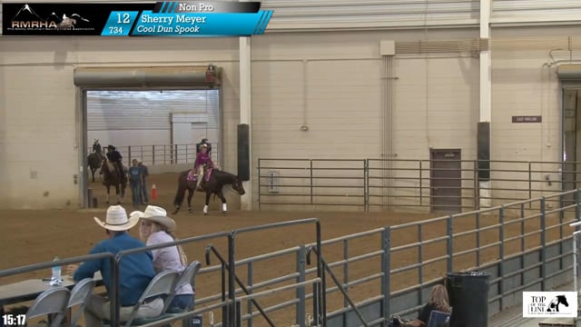 #734 Sherry Meyer
