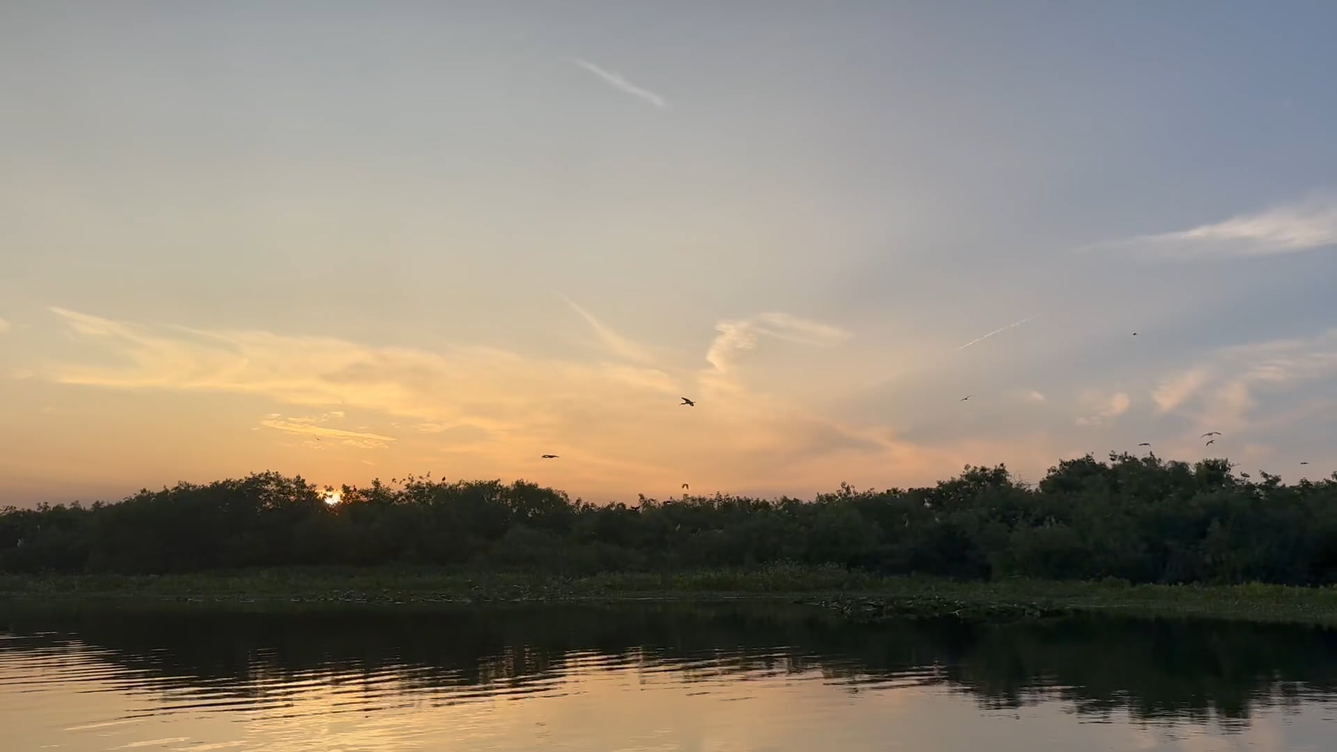 https://i.vimeocdn.com/video/2022072307-5a4e015624155908e519f3618e63ba8952b0691fc94d45fc3e2d1a2bbccb0e46-d