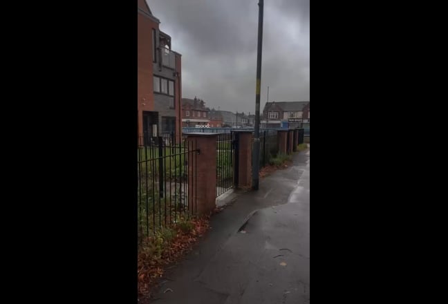 Video 1: Front view