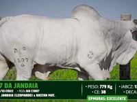 Lote 06