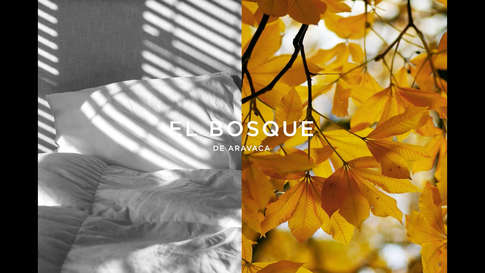 El Bosque de Aravaca