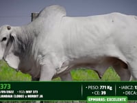 Lote 30
